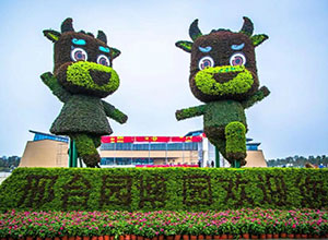 大型網紅戶外游樂設備廠家哪家好？