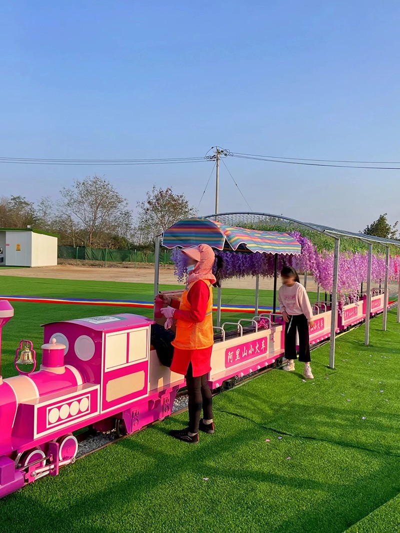 景區(qū)網(wǎng)紅軌道小火車(chē)