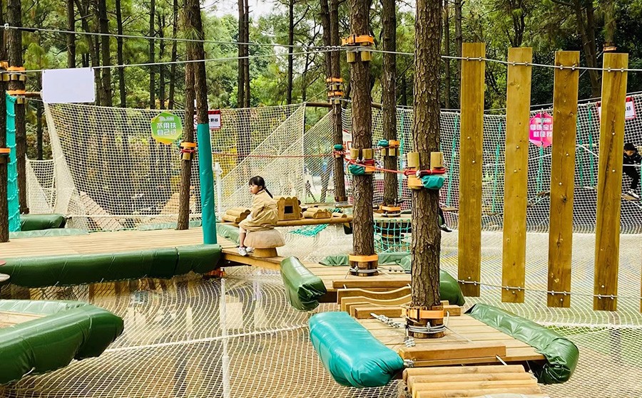 叢林穿越兒童拓展設(shè)備